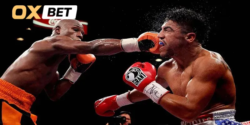 Boxing Oxbet có rất kèo chất lượng cho bạn tham gia